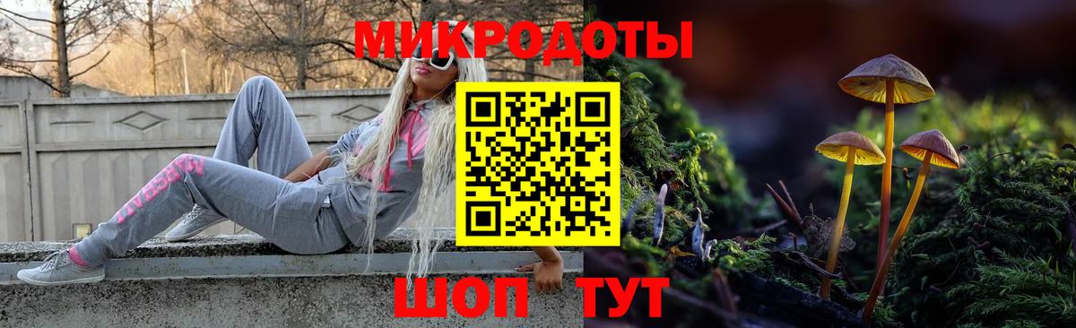 Галлюциногенные грибы мицелий Кудымкар